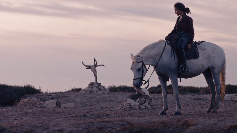 Xem Phim Animale, Animale 2024 Xem Phim Animale, Animale 2024