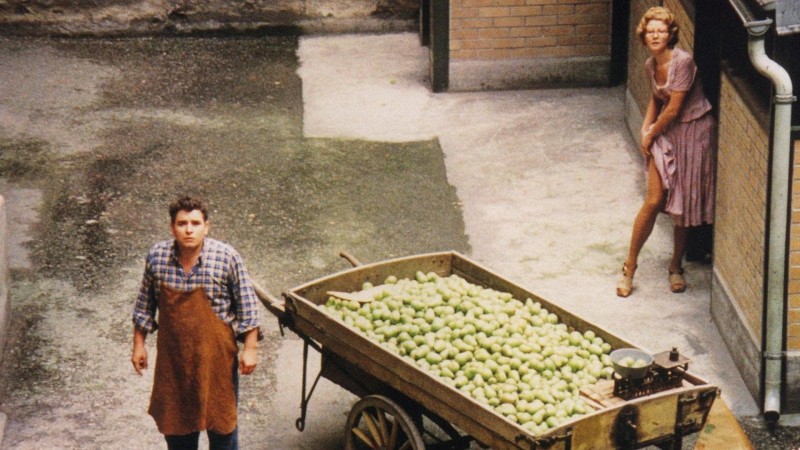 Xem Phim Bốn Mùa Đẩy Xe, The Merchant of Four Seasons 1972