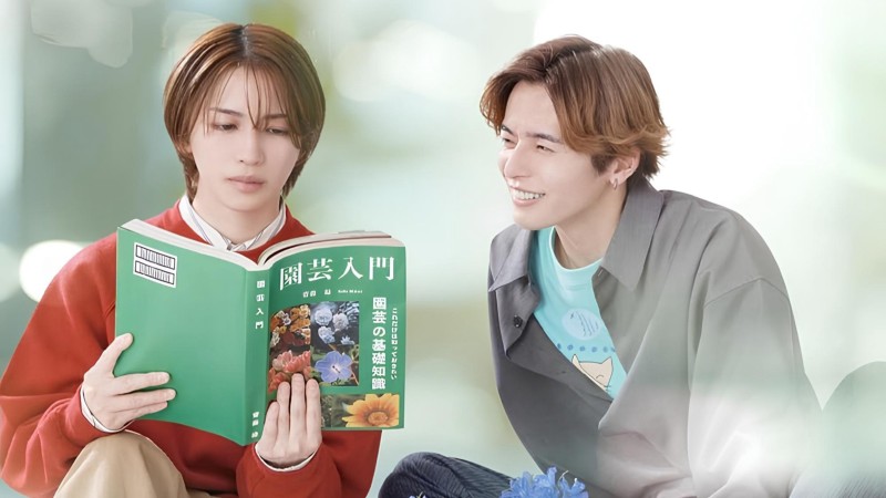 Xem Phim Cách Viết Tình Yêu Đúng Cách, The Proper Way to Write Love 2025