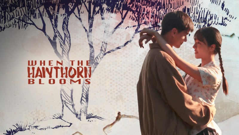 Xem Phim Chuyện Tình Cây Sơn Tra, When The Hawthorn Blooms 2025