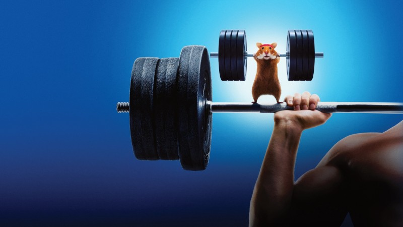 Xem Phim Con Người Đấu Với Hamster, Human vs Hamster 2024