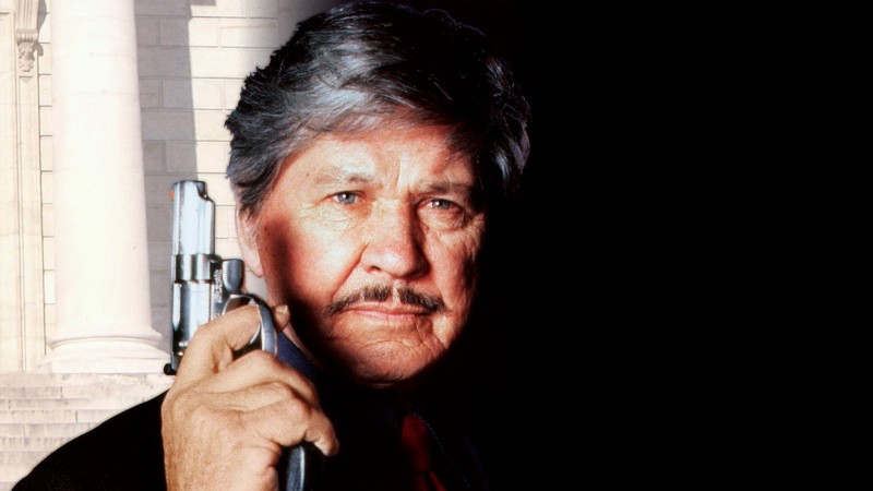 Xem Phim Death Wish V: Khuôn mặt của thần chết, Death Wish V: The Face of Death 1994
