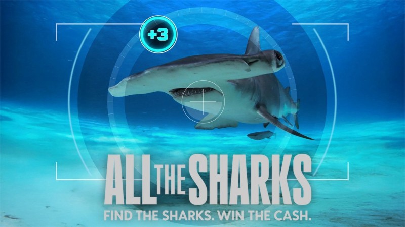 Xem Phim Đi tìm cá mập, All the Sharks 2025