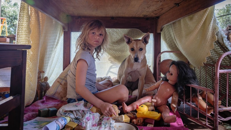 Xem Phim Đứa Trẻ của Chiến Tranh, Don't Let's Go to the Dogs Tonight 2025 Xem Phim Đứa Trẻ của Chiến Tranh, Don't Let's Go to the Dogs Tonight 2025