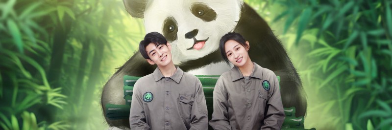 Xem Phim Gấu Trúc Và Bạn, Lăn Đến Đây!, Panda & You Rolling In 2025 Xem Phim Gấu Trúc Và Bạn, Lăn Đến Đây!, Panda & You Rolling In 2025