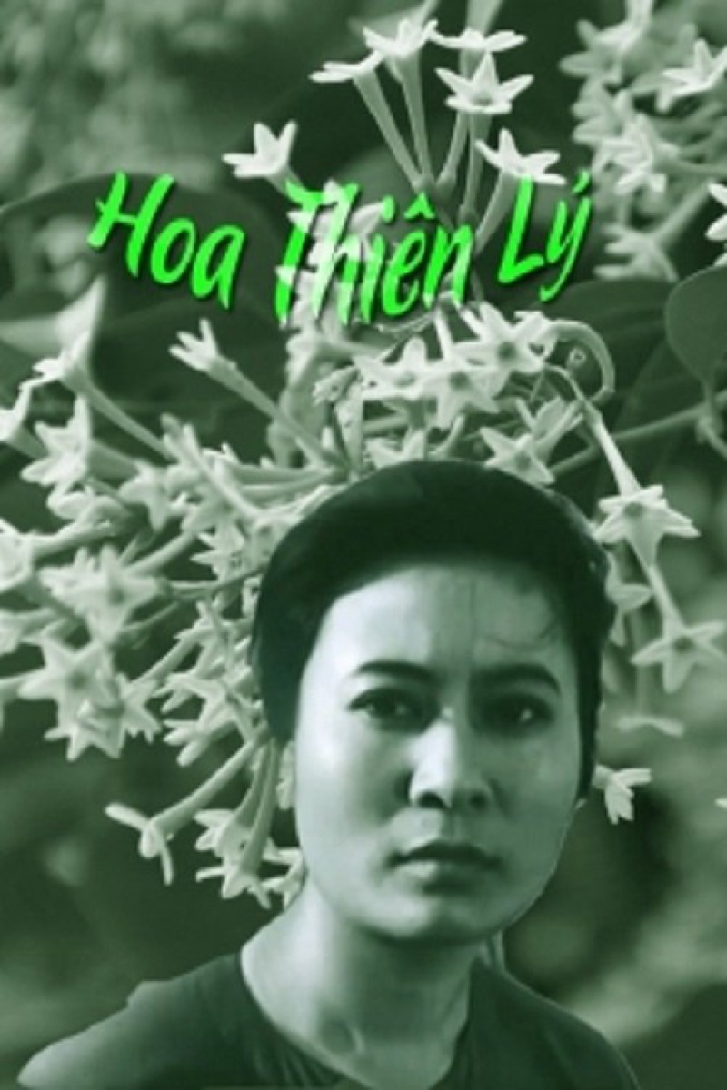 Xem Phim Hoa Thiên Lý, Tonkin Jasmine Flower 1973 Xem Phim Hoa Thiên Lý, Tonkin Jasmine Flower 1973