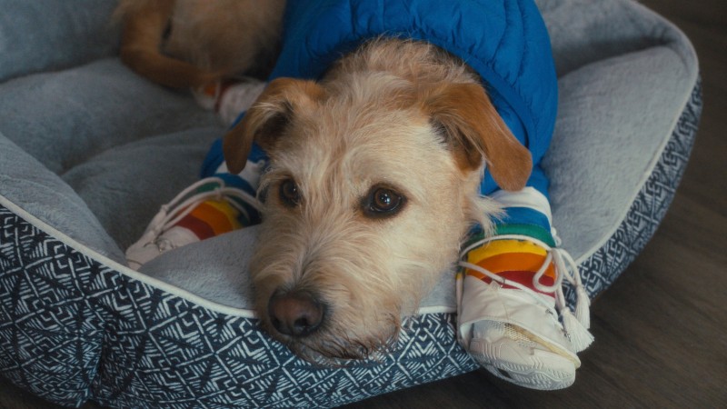 Xem Phim Merv, Merv 2025