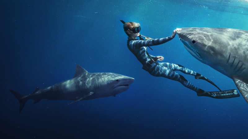 Xem Phim Người bạn của cá mập, Shark Whisperer 2025