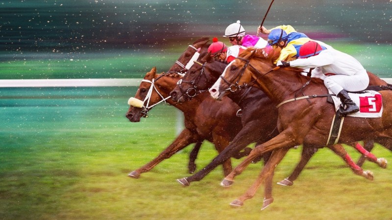 Xem Phim Phi Nước Kiệu Đến Ngôi Vương, Race for the Crown 2025