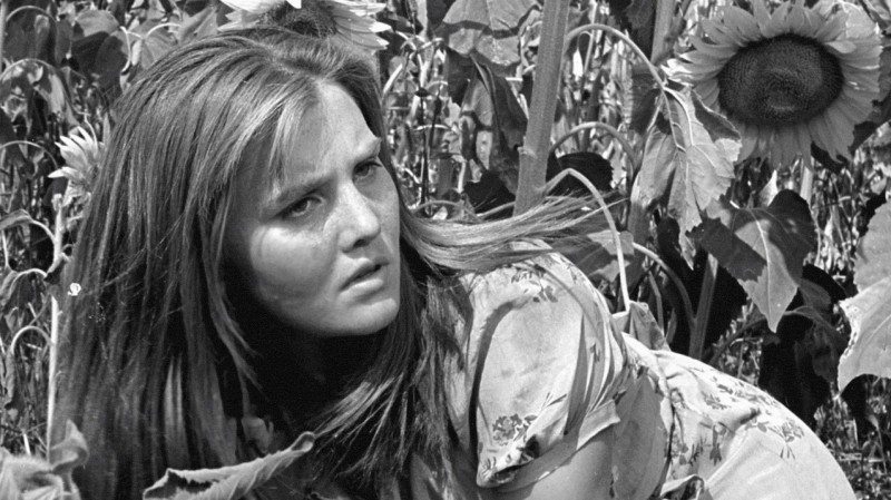 Xem Phim Tấn công và rút lui, Attack and Retreat 1964 Xem Phim Tấn công và rút lui, Attack and Retreat 1964