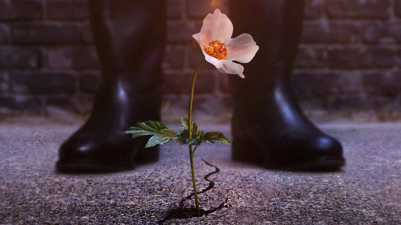 Xem Phim Thế Giới Của Phát Xít, The Man in the High Castle 2015