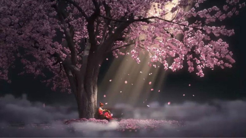 Xem Phim Thiếu Niên Cẩm Y Vệ (Phần 2), The Young Imperial Guards (Season 2) 2017 Xem Phim Thiếu Niên Cẩm Y Vệ (Phần 2), The Young Imperial Guards (Season 2) 2017