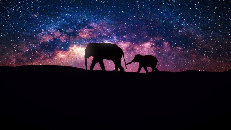 Xem Phim Vũ trụ, Our Universe 2022