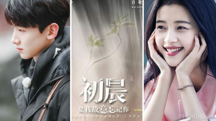 Xem Phim Sơ Thần Là Em Cố Ý Quên Anh, Irreplaceable Love 2019