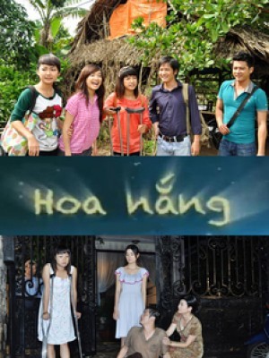 Hoa nắng (2012) - VTV3