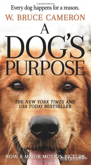 Mục Đích Sống Của Một Chú Chó - A Dog's Purpose