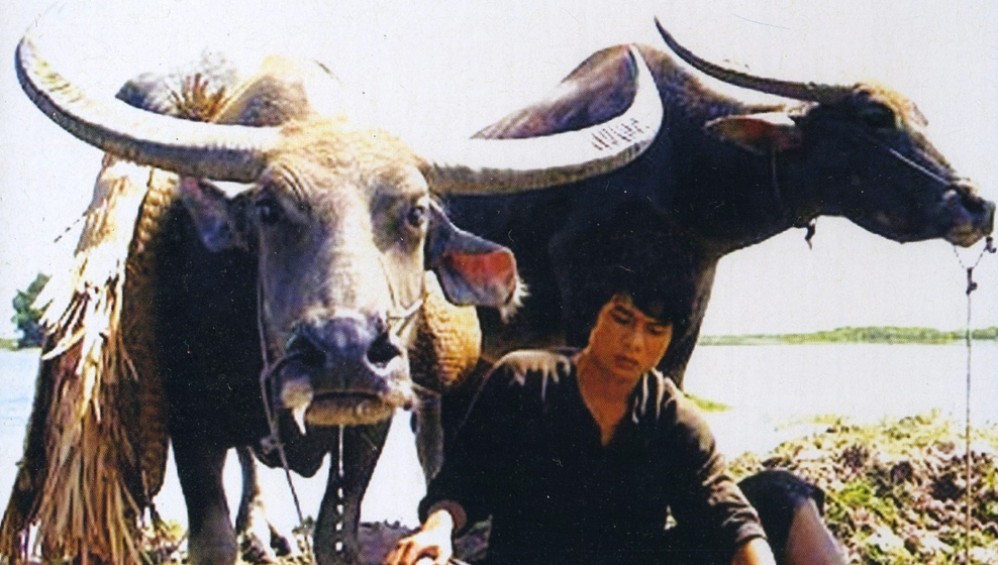 Xem Phim Mùa Len Trâu (The Buffalo Boy) (2004),  2004