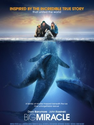 Big Miracle (Giải Cứu Cá Heo) (2012)