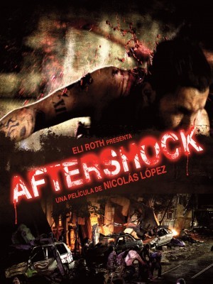 Aftershock (Dư Chấn) (2012)