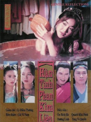 Mối Hận Kim Bình (Gentle Reflection) (1994)