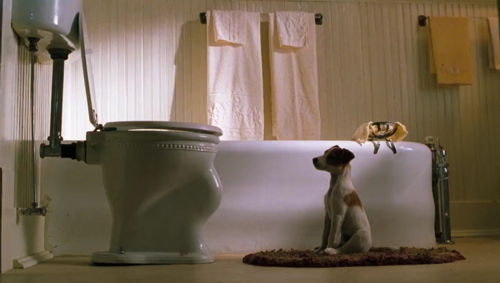 Xem Phim Chú Chó Skip (My Dog Skip) (2000),  2000