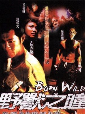 Dã Chiến Giang Hồ (Born Wild) (2001)