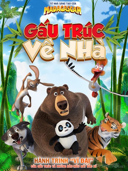 Gấu Trúc Về Nhà