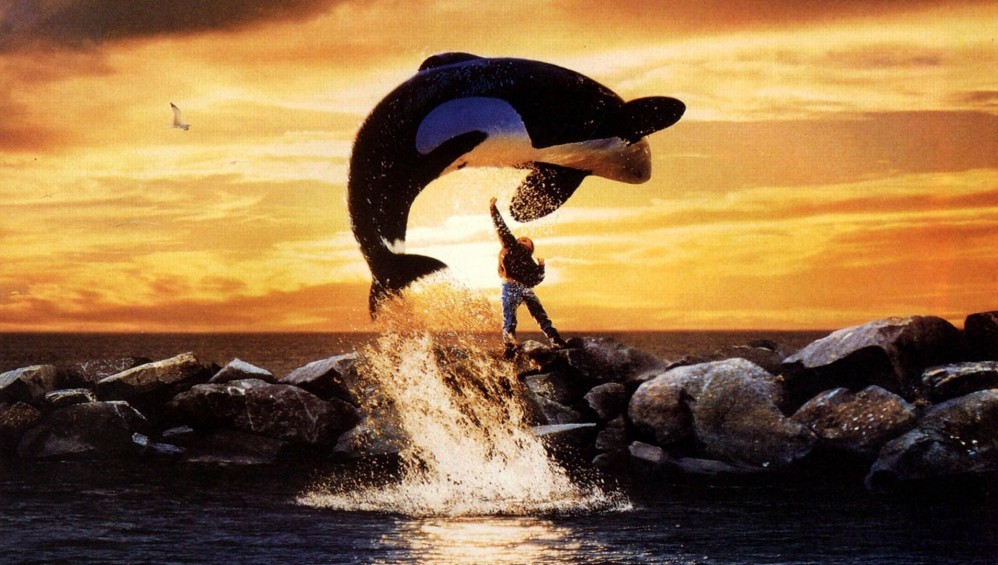 Xem Phim Giải Cứu Willy (Free Willy) (1993),  1993